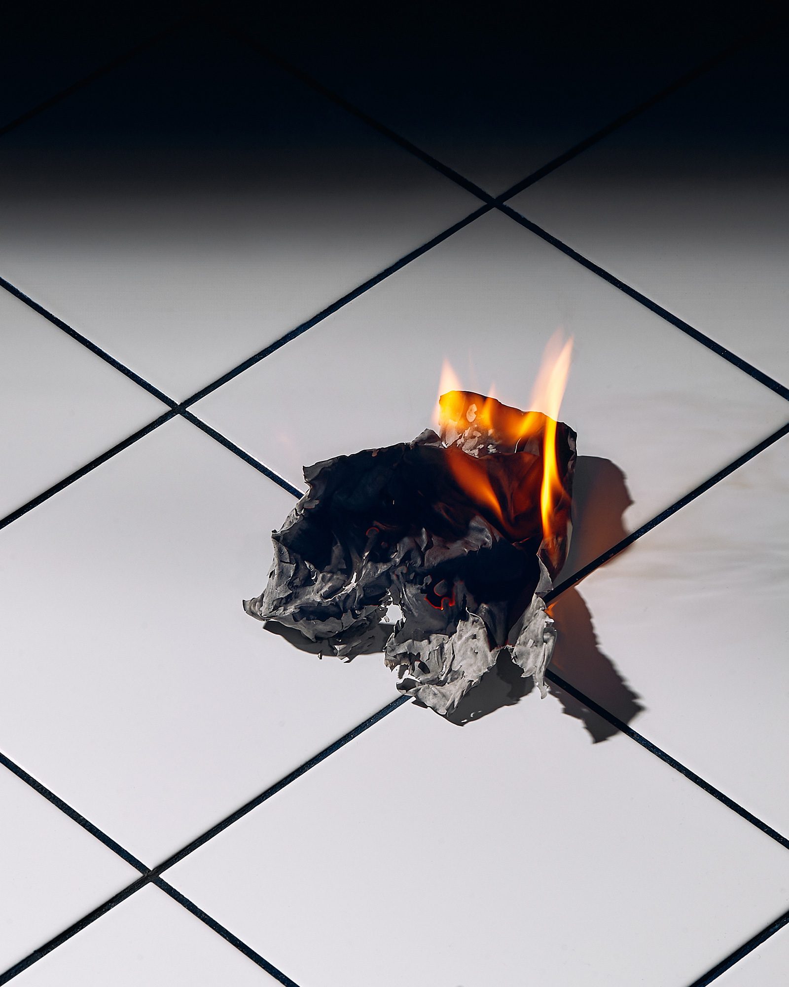 Anne-Laure Pingreoun